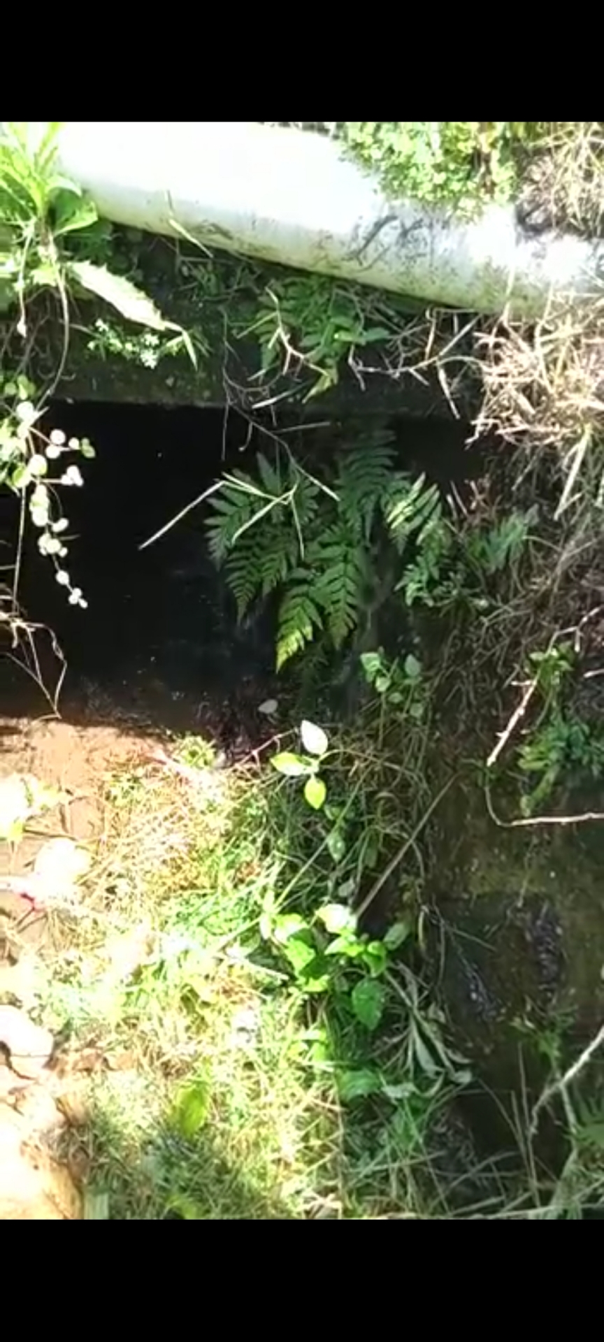 Info berita,Layanan PDAM,Kegiatan PDAM,gangguan layanan pdam,Berita PDAM,PERUMDA AMTS,PERUMDA AMTS Kabupaten Gianyar