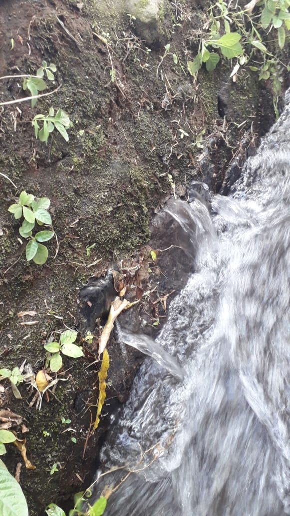 Info berita,Layanan PDAM,Kegiatan PDAM,gangguan layanan pdam,Berita PDAM,PERUMDA AMTS,PERUMDA AMTS Kabupaten Gianyar